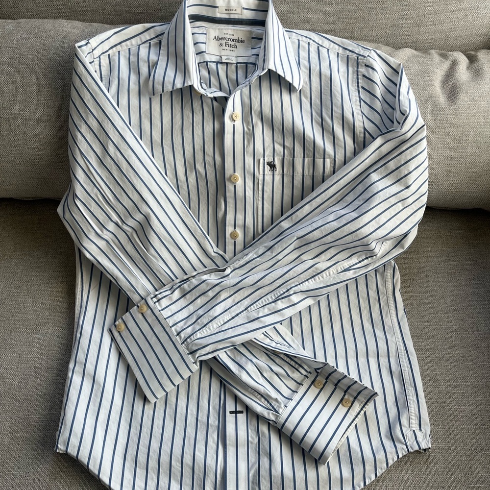Abercrombie & Fitch Men's Blue Striped Shirt size L collar muscle old money